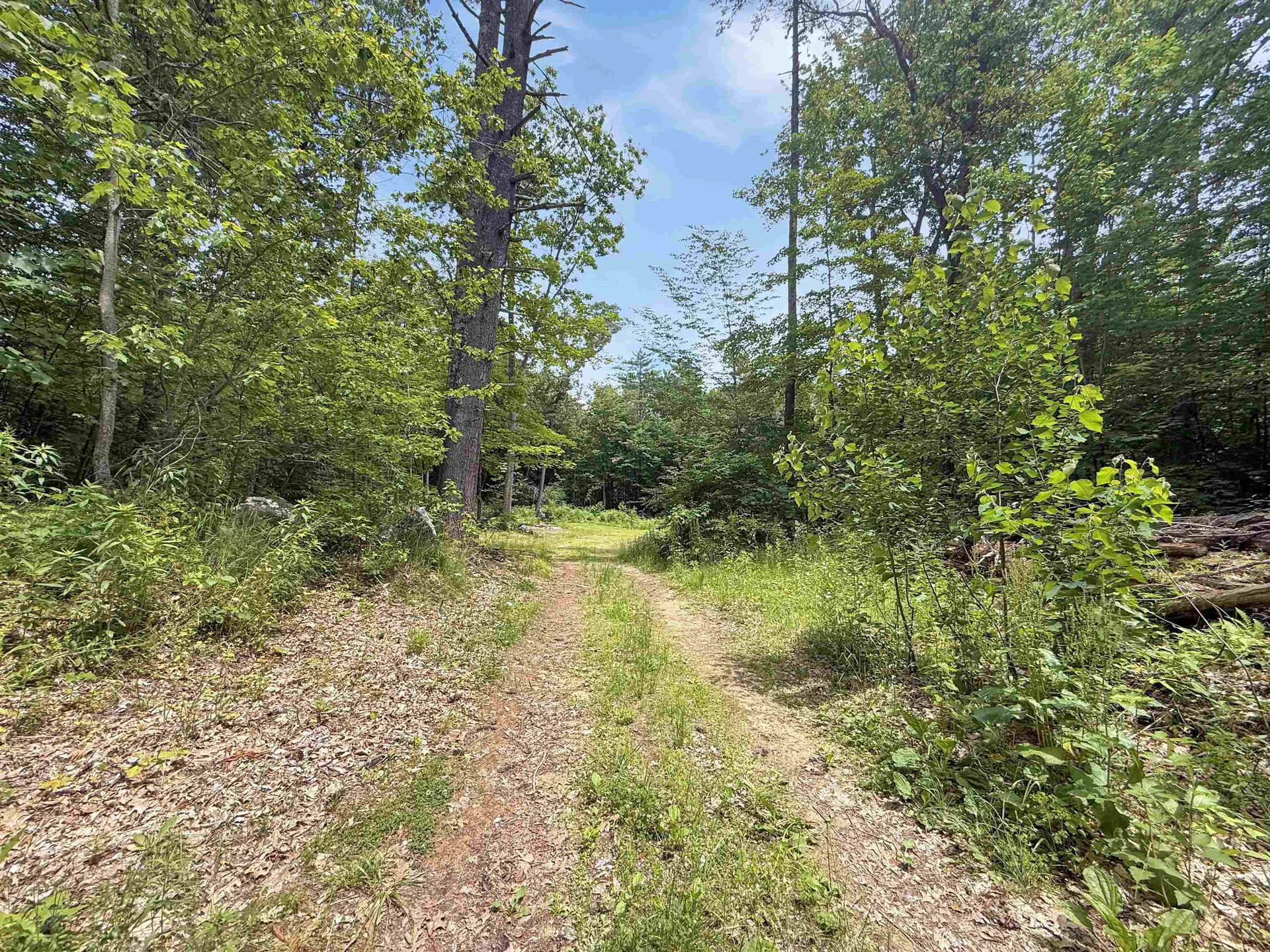 Lot 76-20-1 Sheridan Road Moultonborough NH 03254