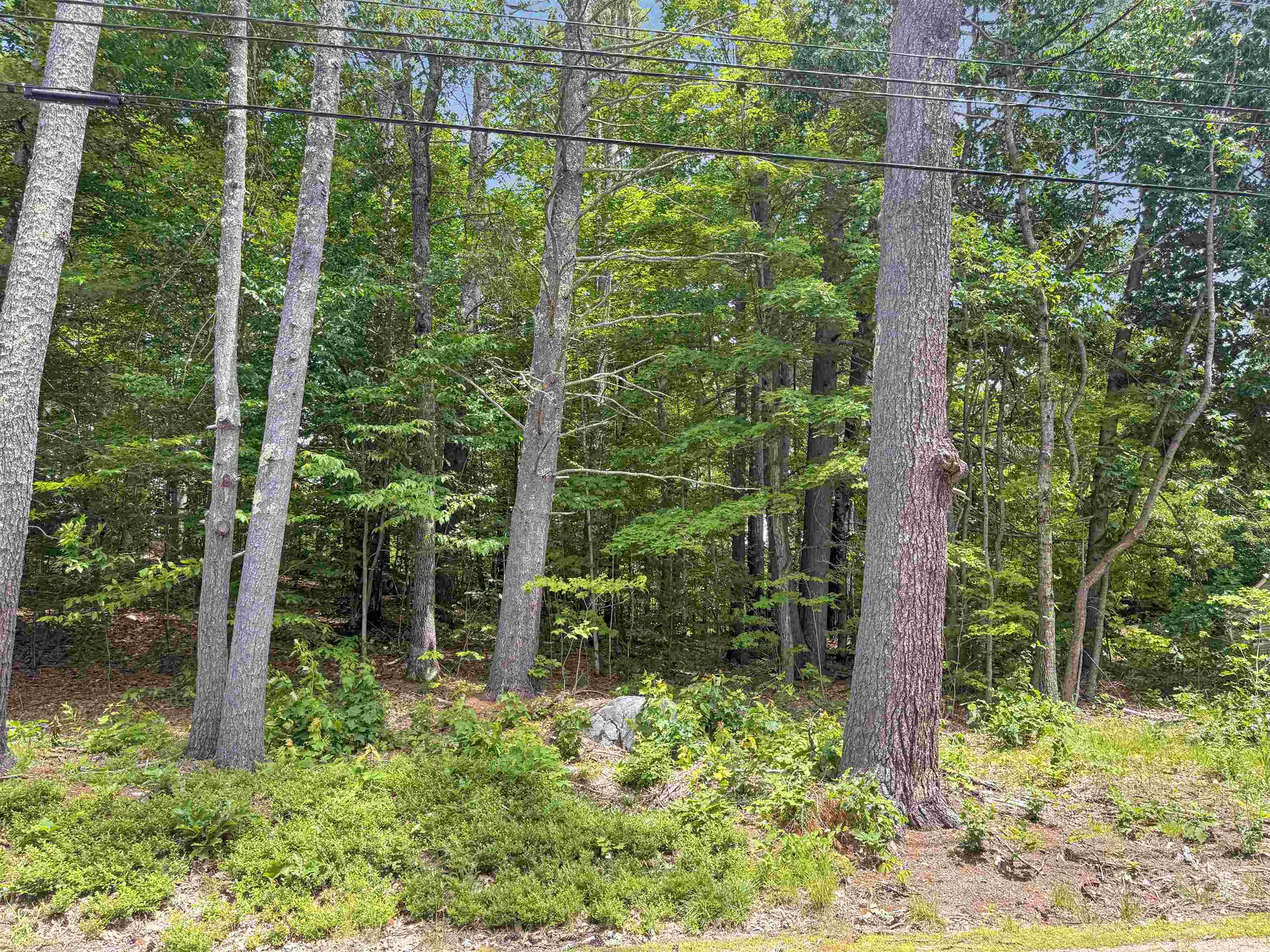 Lot 76-20-1 Sheridan Road Moultonborough NH 03254