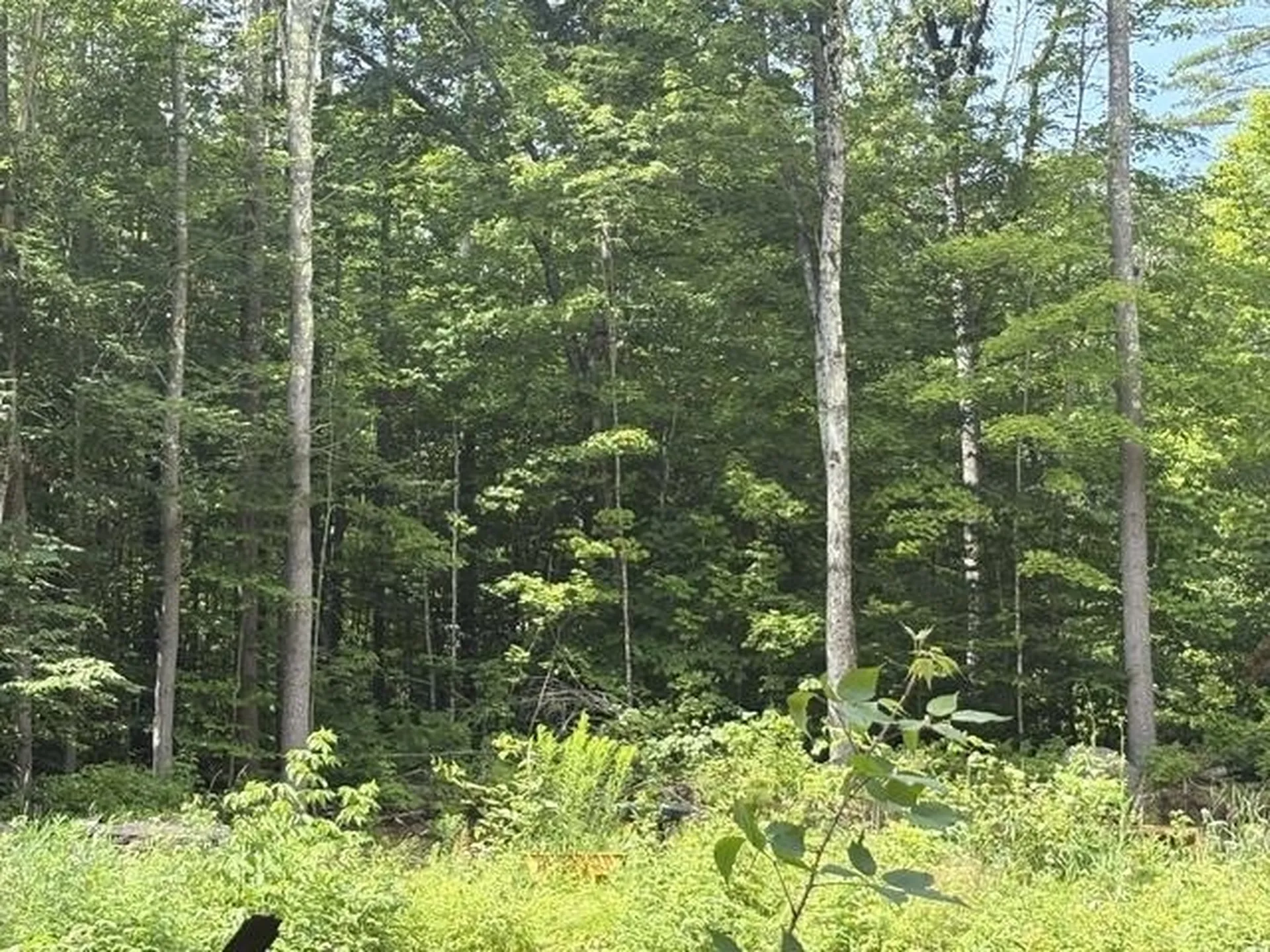 Lot 76-20-1 Sheridan Road Moultonborough NH 03254