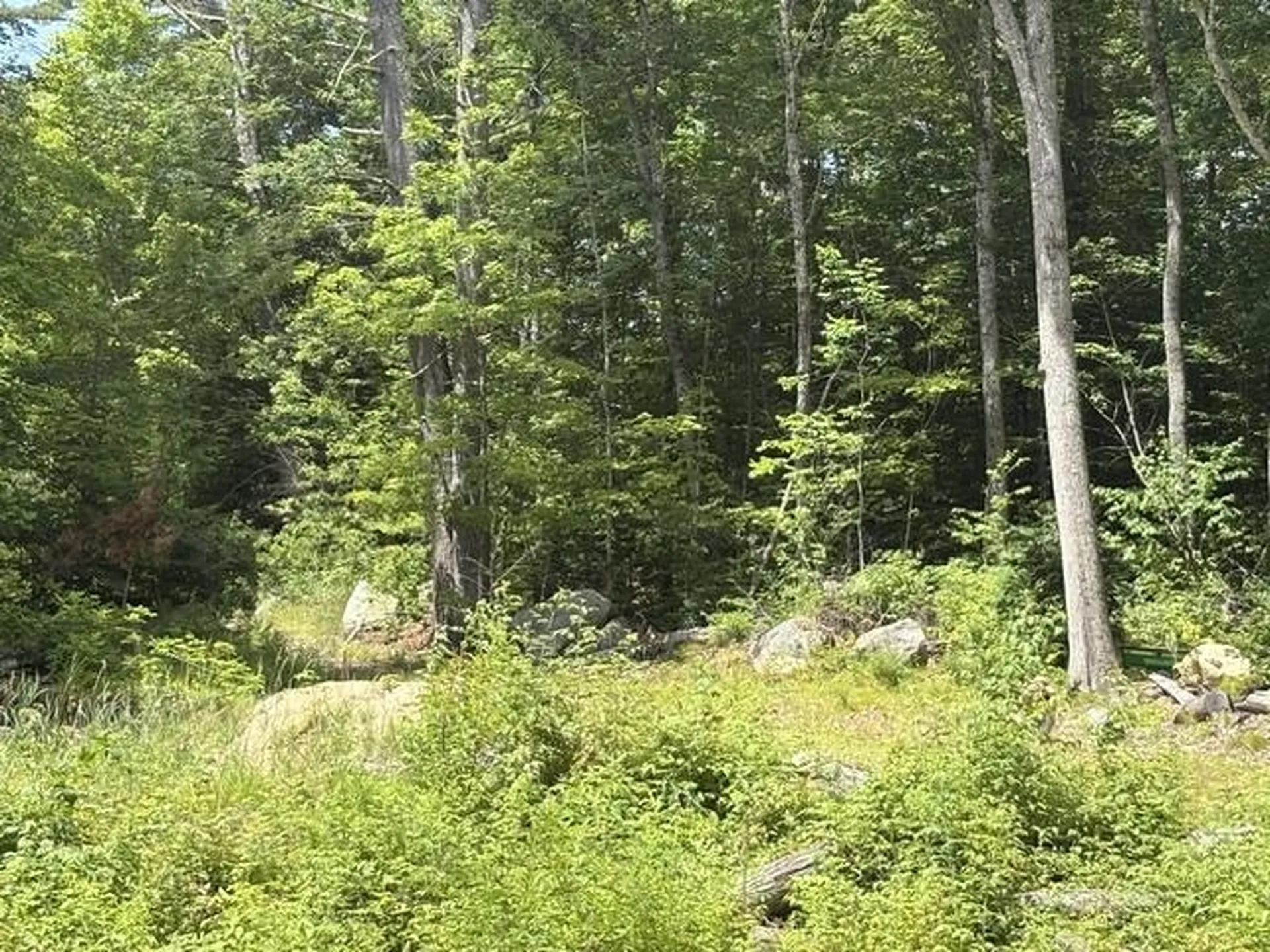 Lot 76-20-1 Sheridan Road Moultonborough NH 03254