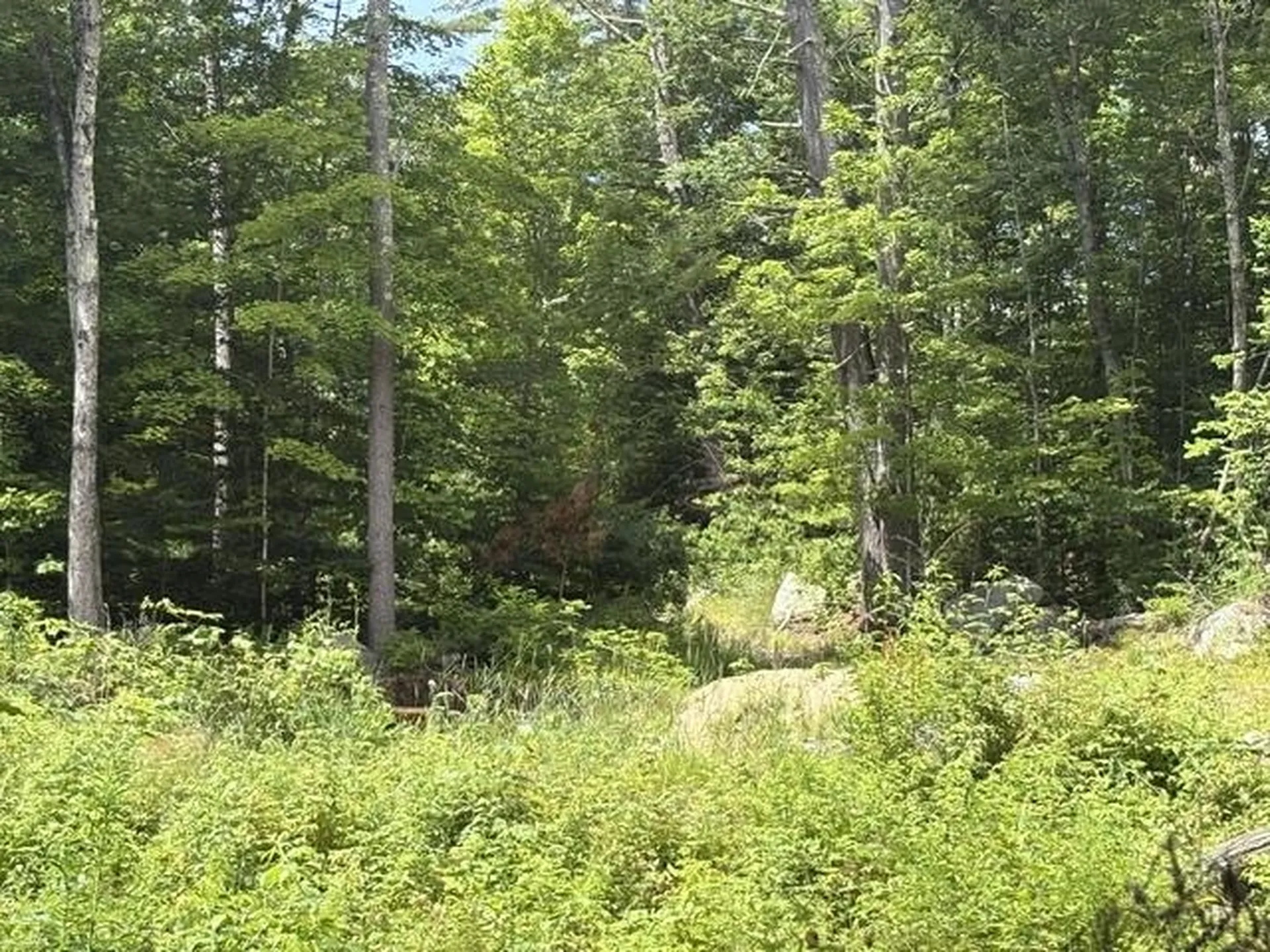 Lot 76-20-1 Sheridan Road Moultonborough NH 03254