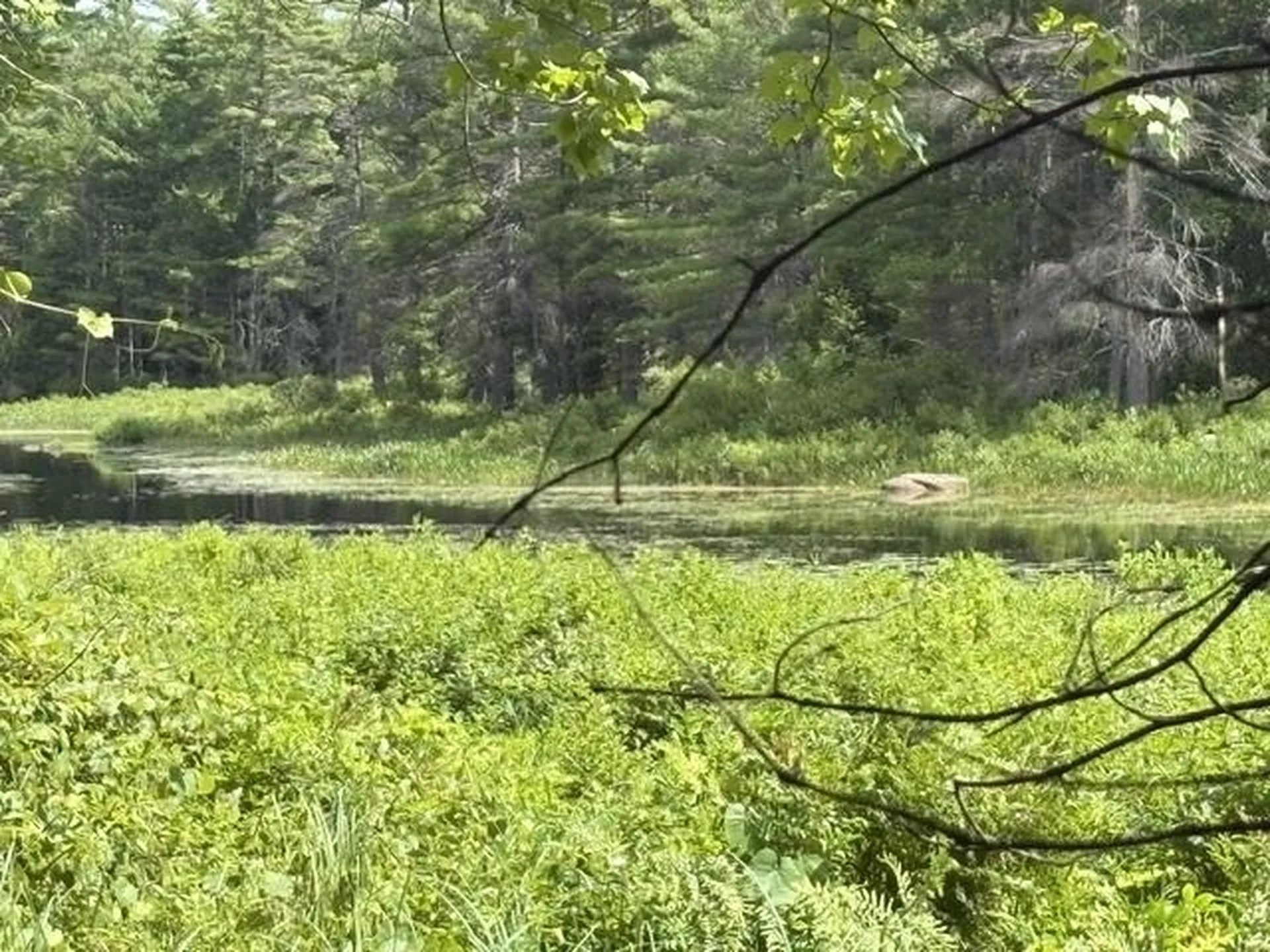 Lot 76-20-1 Sheridan Road Moultonborough NH 03254