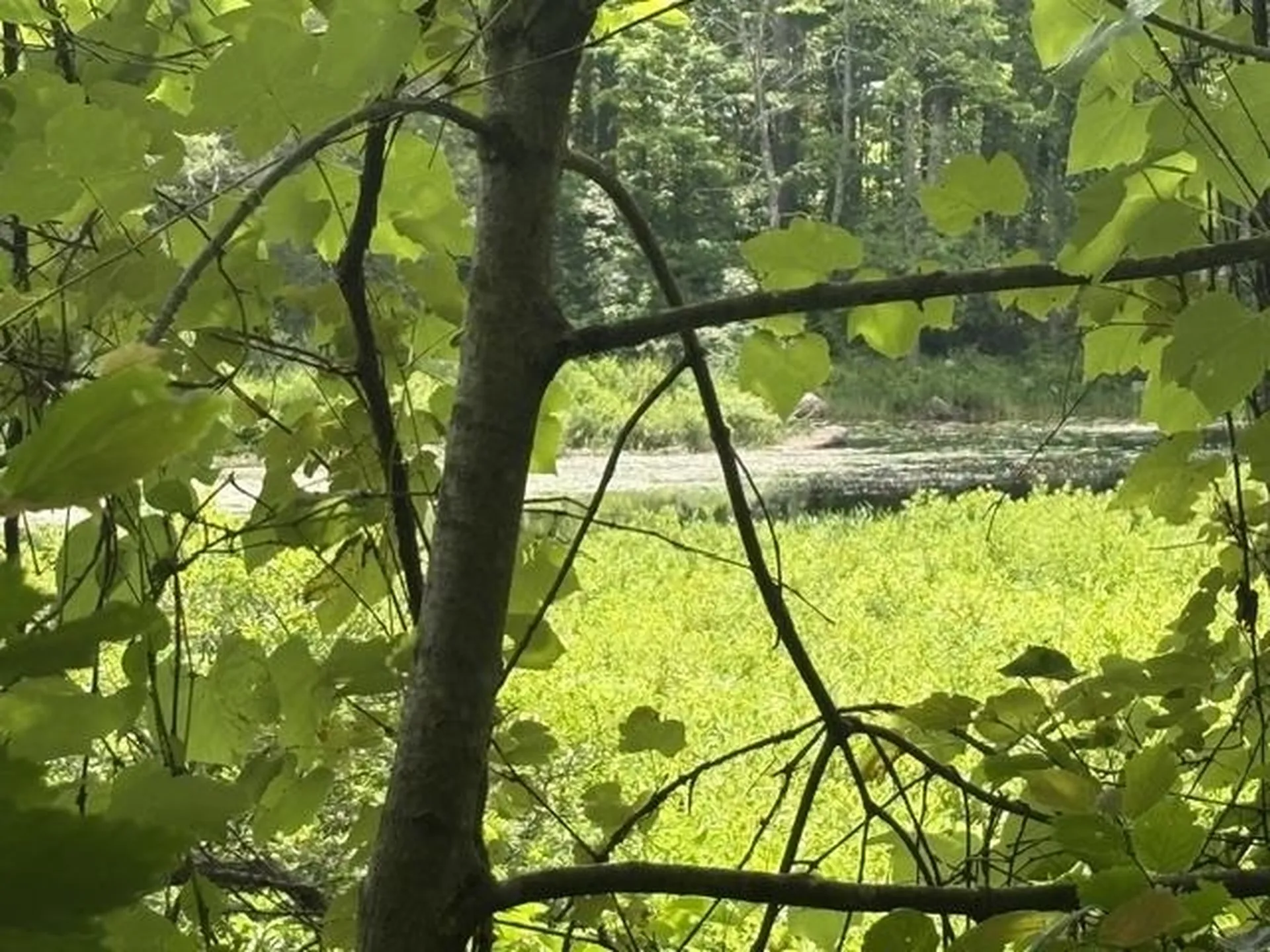 Lot 76-20-1 Sheridan Road Moultonborough NH 03254