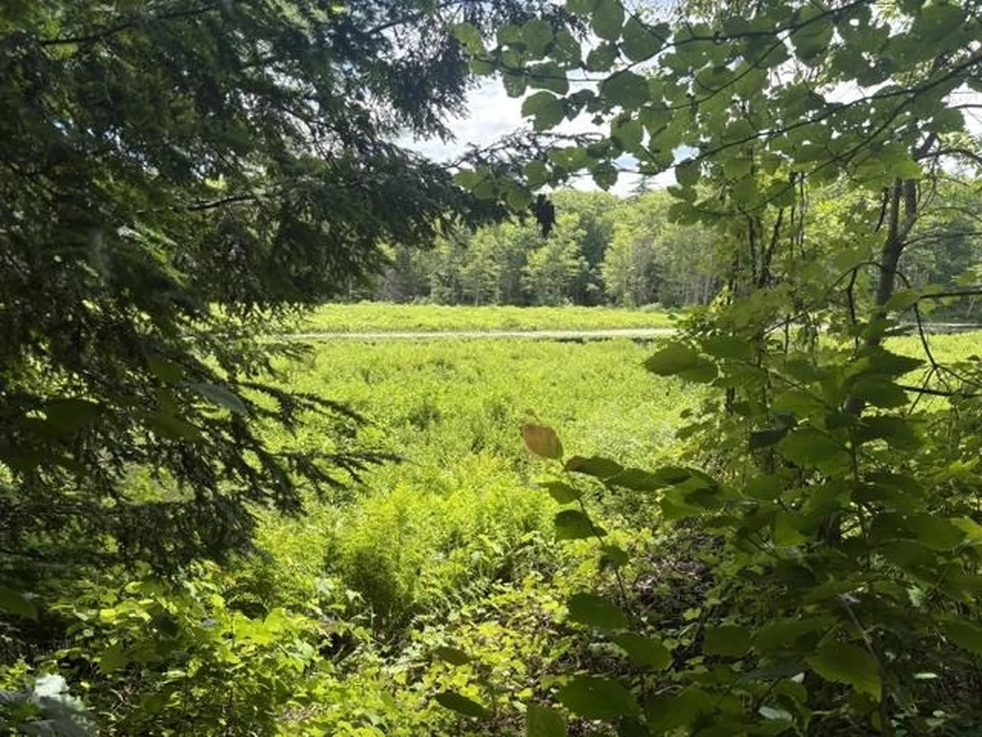 Lot 76-20-1 Sheridan Road Moultonborough NH 03254