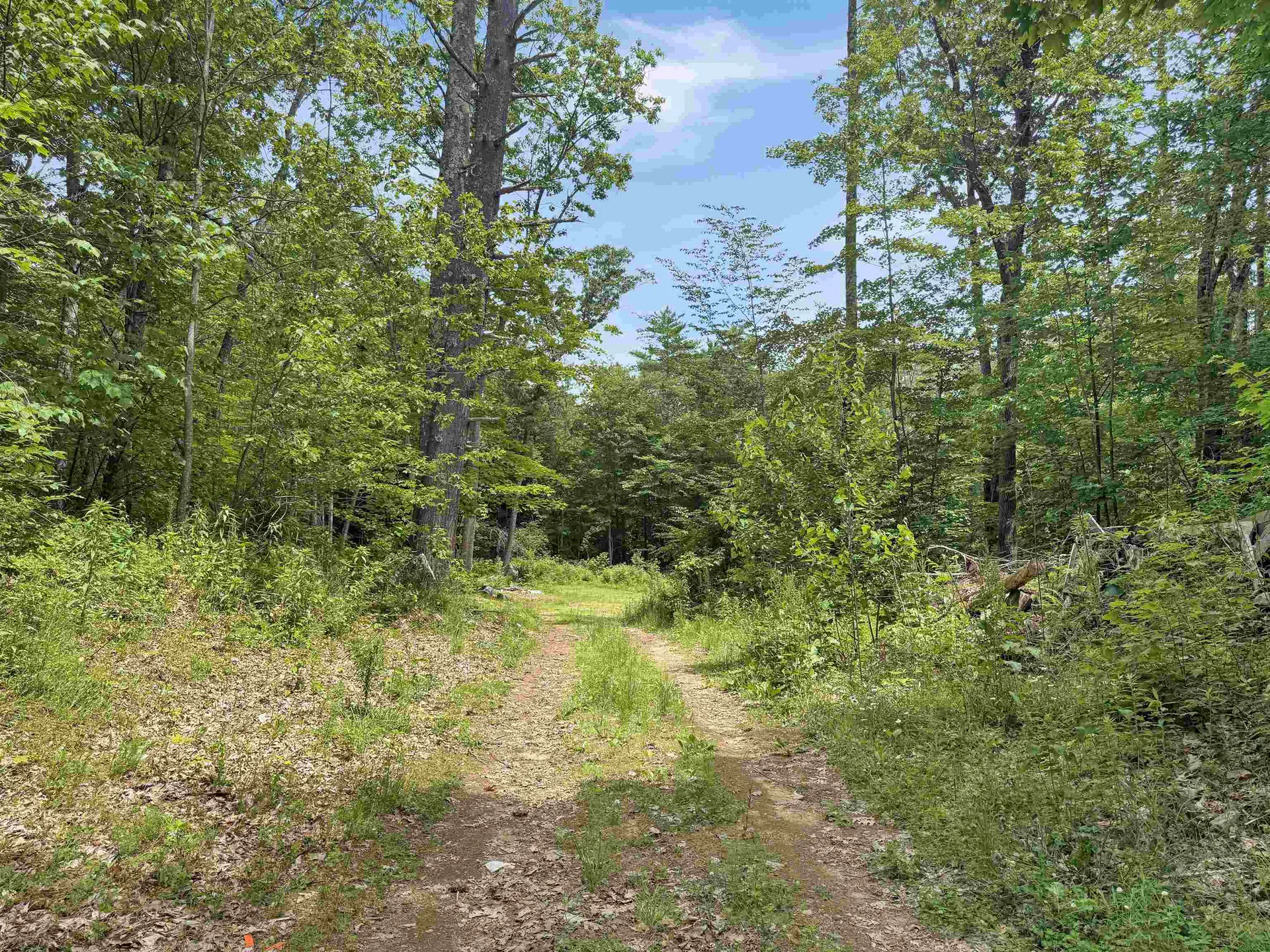 Lot 76-20-1 Sheridan Road Moultonborough NH 03254