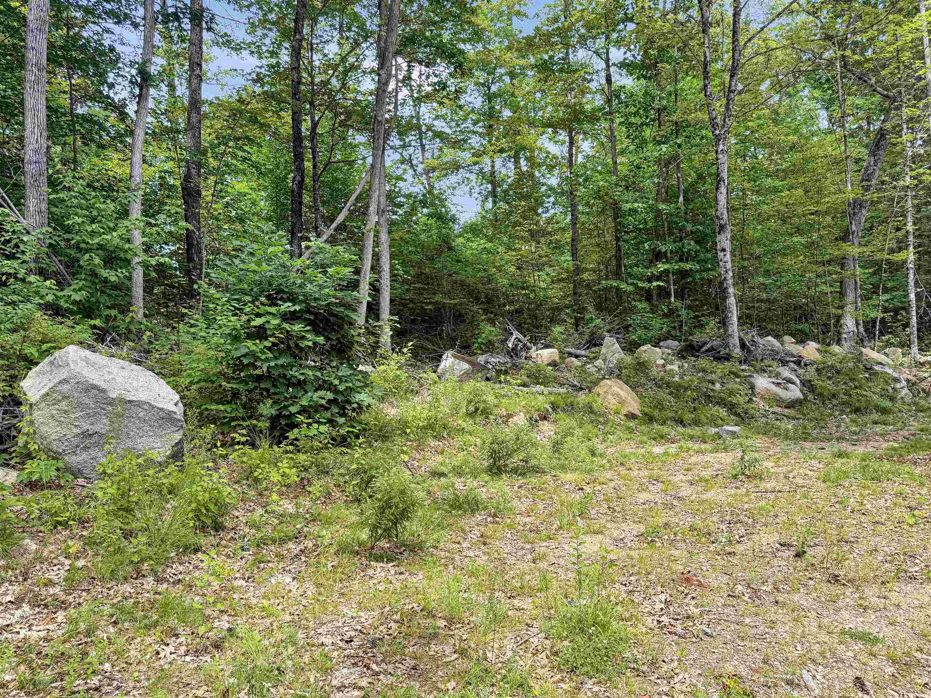 Lot 76-20-1 Sheridan Road Moultonborough NH 03254