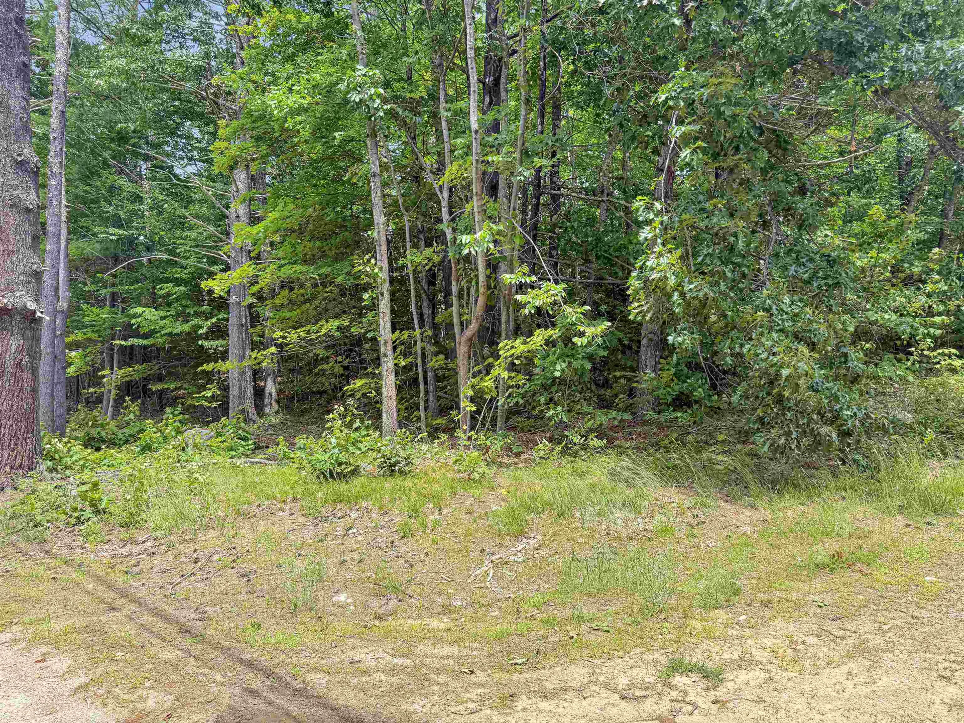 Lot 76-20-1 Sheridan Road Moultonborough NH 03254