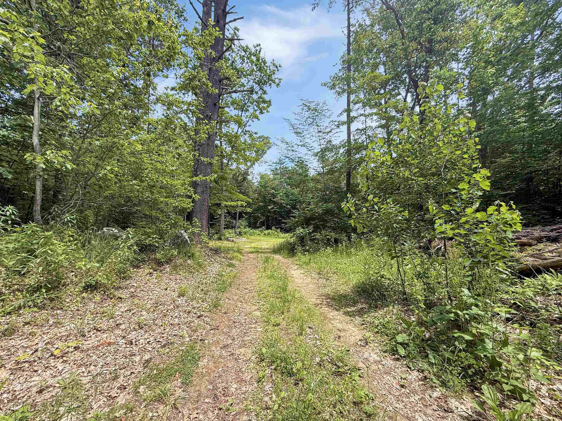 Lot 76-20-1 Sheridan Road Moultonborough NH 03254