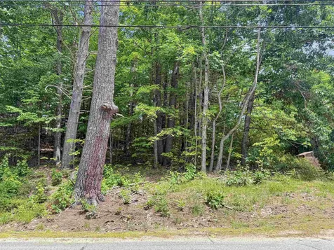 Lot 76-20-1 Sheridan Road Moultonborough NH 03254