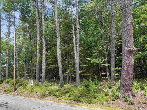 Lot 76-20-1 Sheridan Road Moultonborough NH 03254