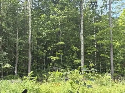 Lot 76-20-1 Sheridan Road Moultonborough NH 03254