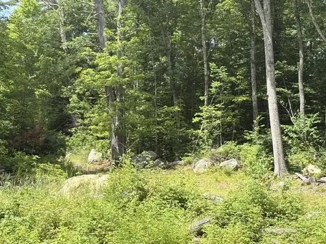 Lot 76-20-1 Sheridan Road Moultonborough NH 03254