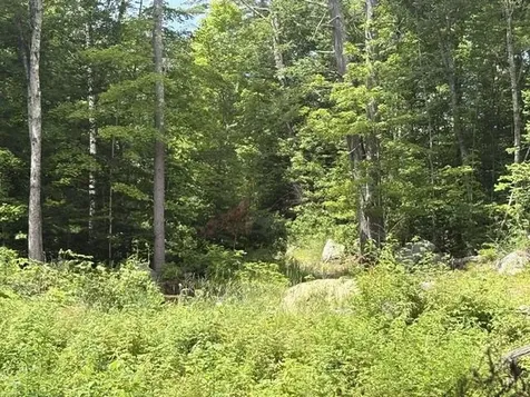 Lot 76-20-1 Sheridan Road Moultonborough NH 03254