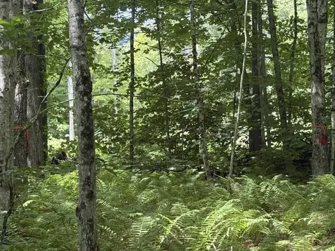 Lot 76-20-1 Sheridan Road Moultonborough NH 03254