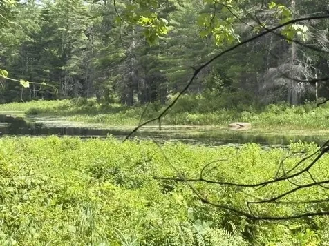 Lot 76-20-1 Sheridan Road Moultonborough NH 03254