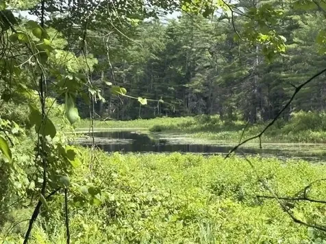 Lot 76-20-1 Sheridan Road Moultonborough NH 03254