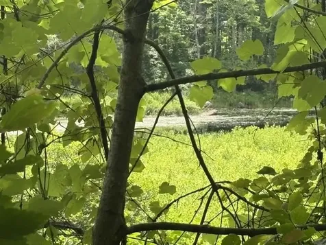 Lot 76-20-1 Sheridan Road Moultonborough NH 03254