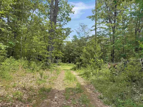 Lot 76-20-1 Sheridan Road Moultonborough NH 03254