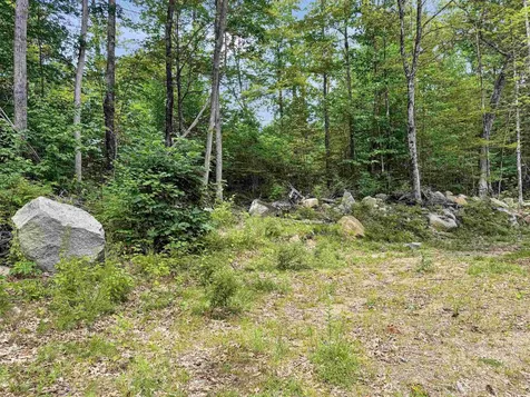 Lot 76-20-1 Sheridan Road Moultonborough NH 03254
