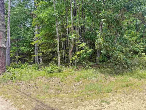 Lot 76-20-1 Sheridan Road Moultonborough NH 03254