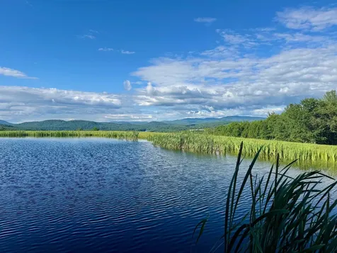 1726 Skitchewaug Trail Springfield VT 05156