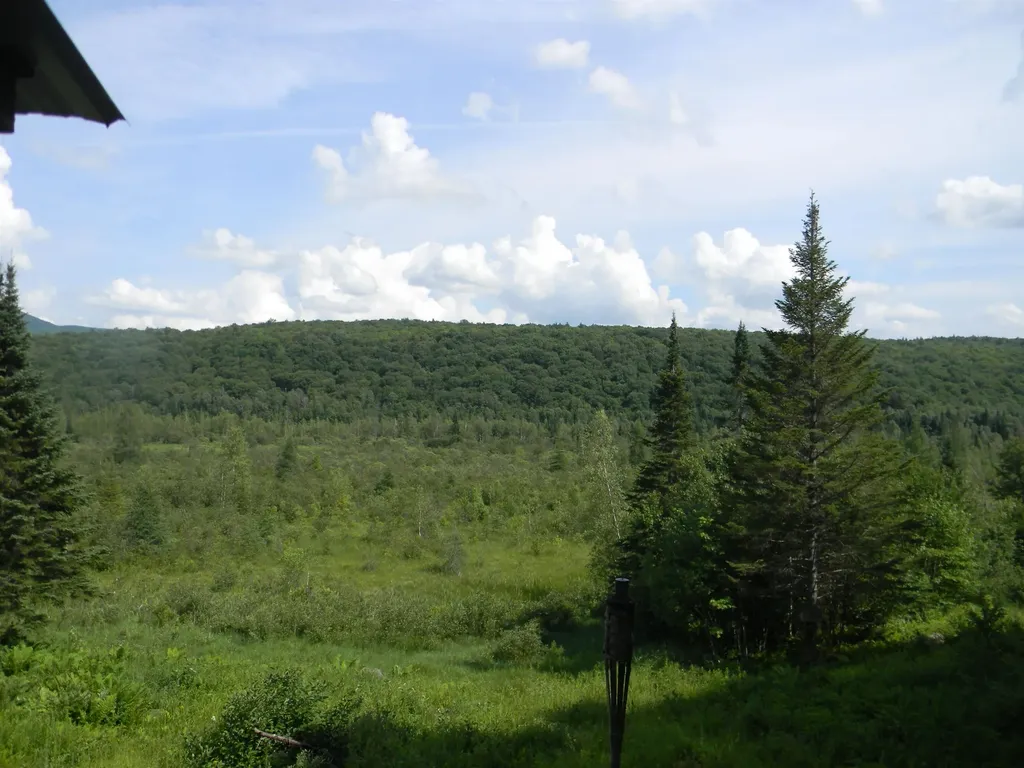 24 Nash Stream Road Odell NH 03582
