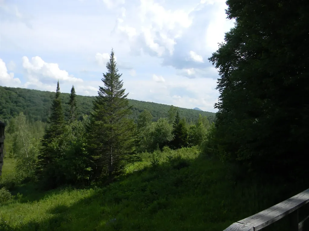 24 Nash Stream Road Odell NH 03582