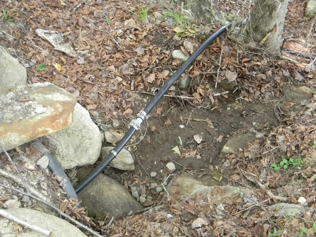 24 Nash Stream Road Odell NH 03582