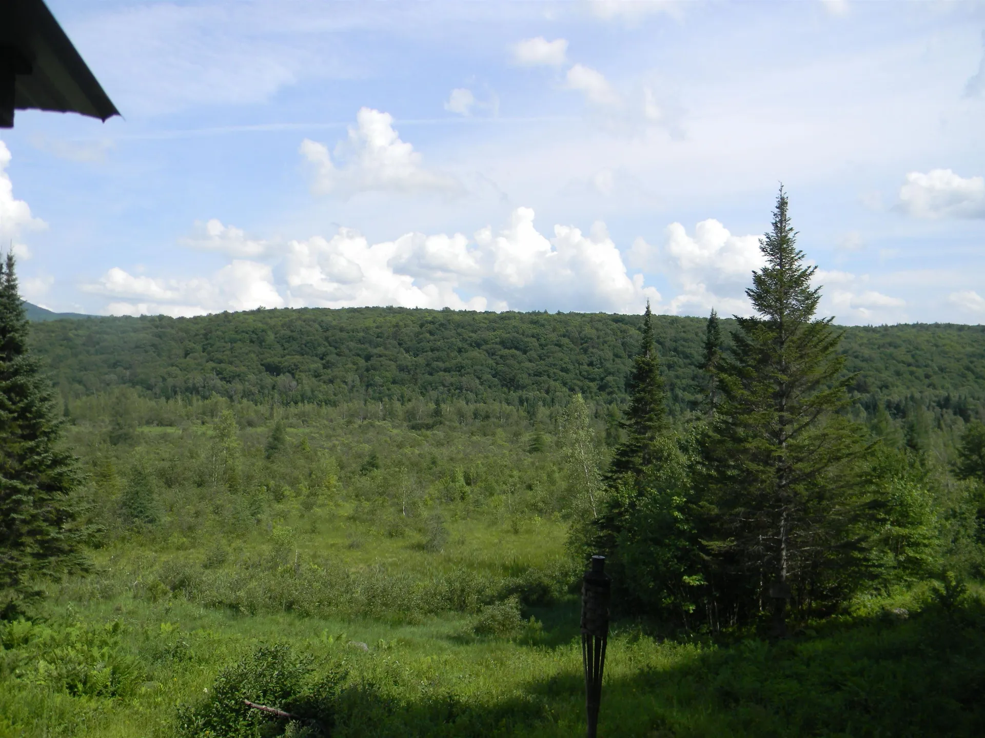24 Nash Stream Road Odell NH 03582