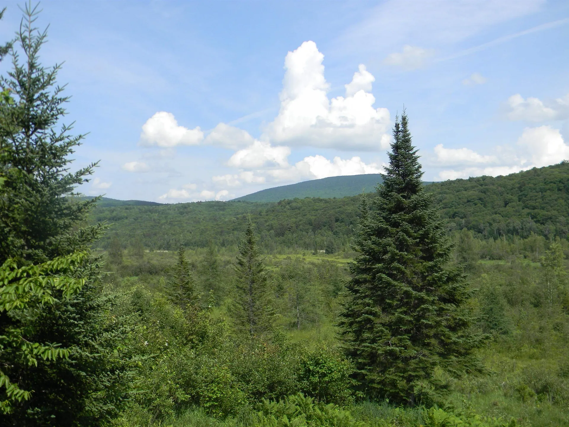 24 Nash Stream Road Odell NH 03582