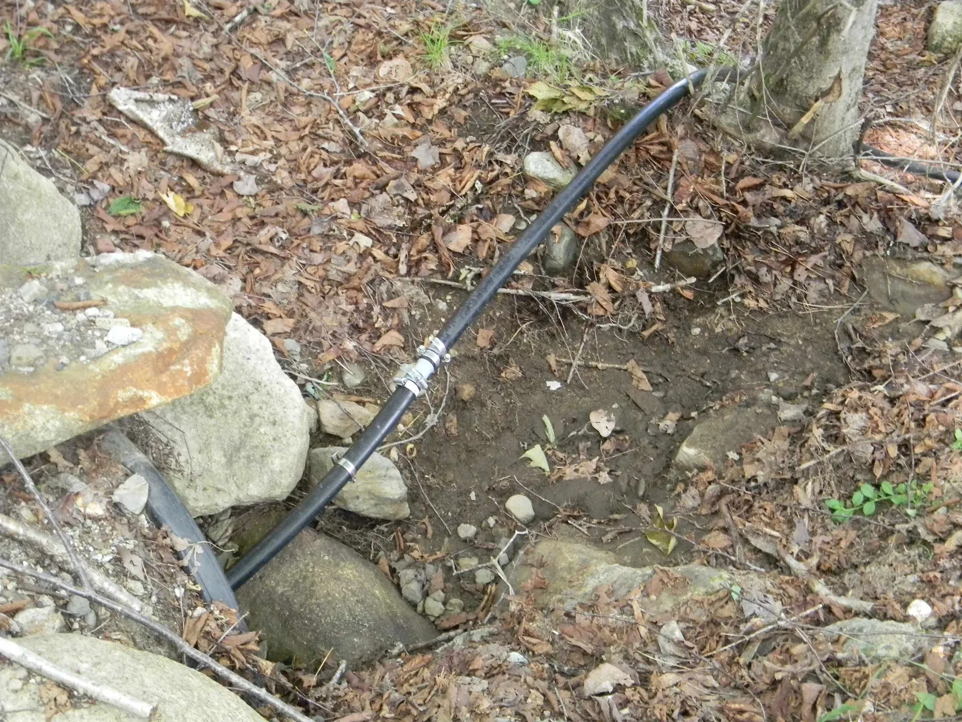 24 Nash Stream Road Odell NH 03582