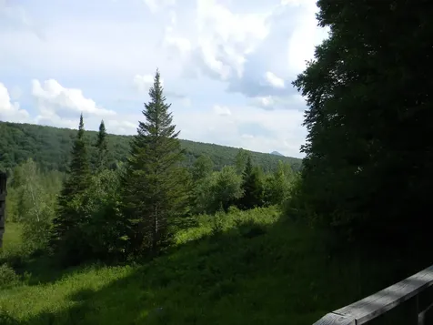 24 Nash Stream Road Odell NH 03582