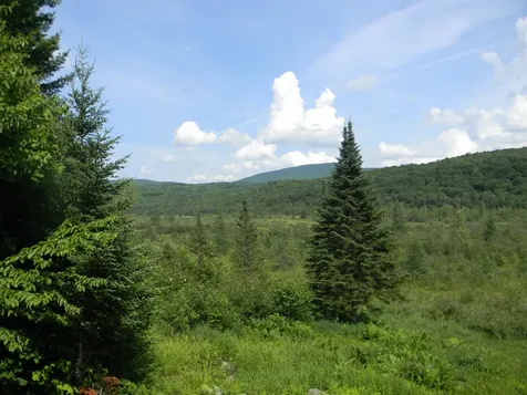 24 Nash Stream Road Odell NH 03582