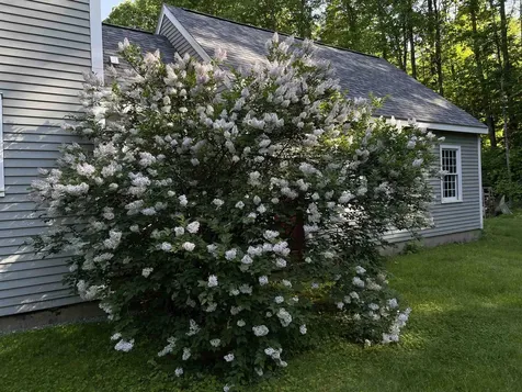 90 Deer Run Road Henniker NH 03242