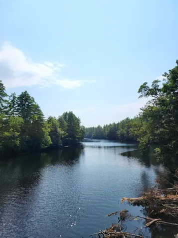 127 Broad Cove Drive Concord NH 03303