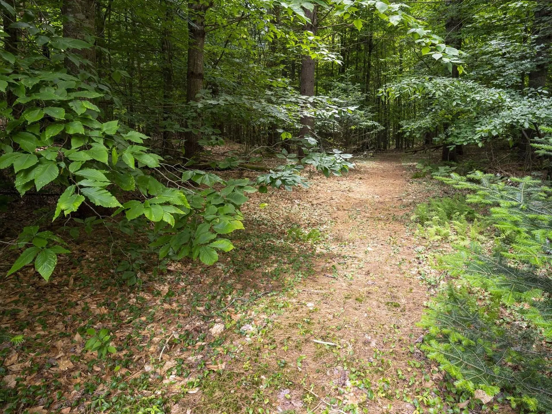 152 Wood Road Middlesex VT 05682