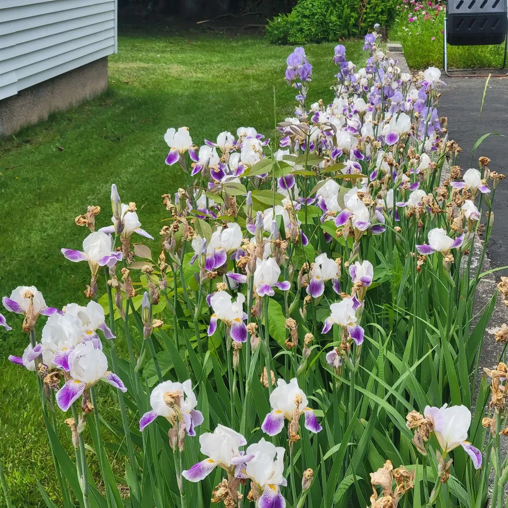 11 Nash Parkway Somersworth NH 03878