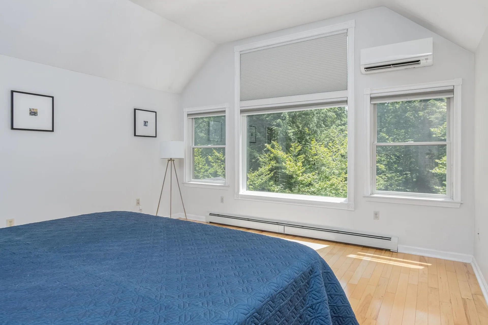 4 Bear Drive Enfield NH 03748