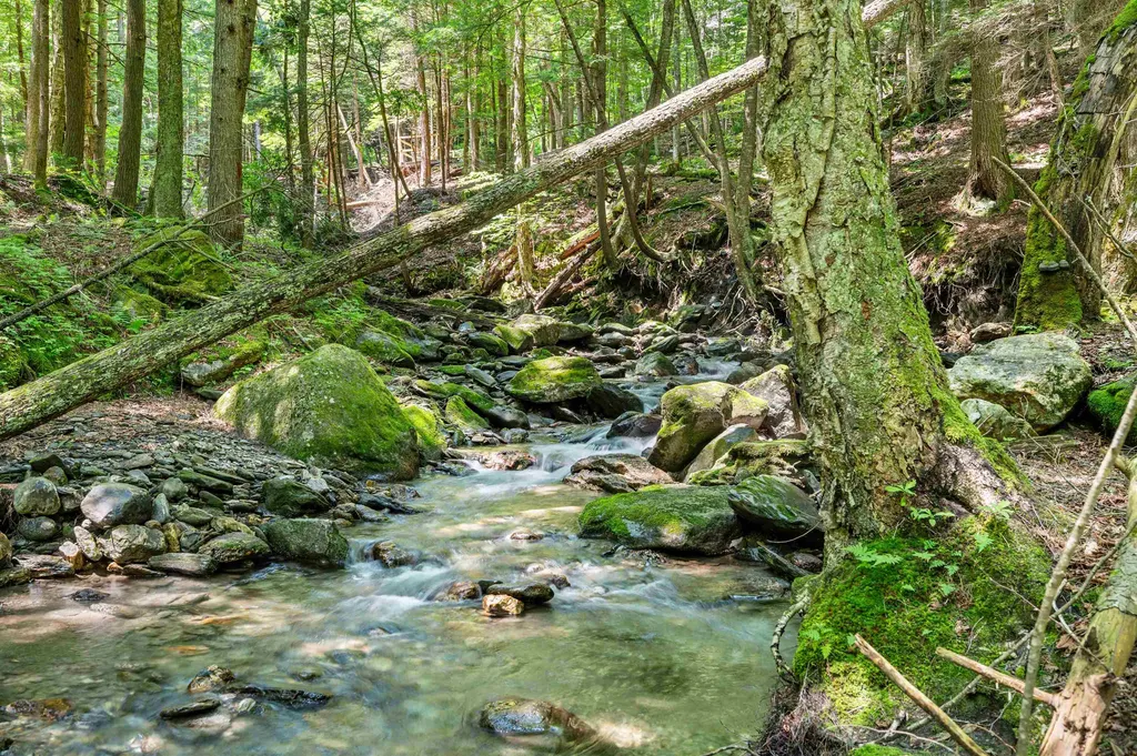 769 West Hill Road Warren VT 05674