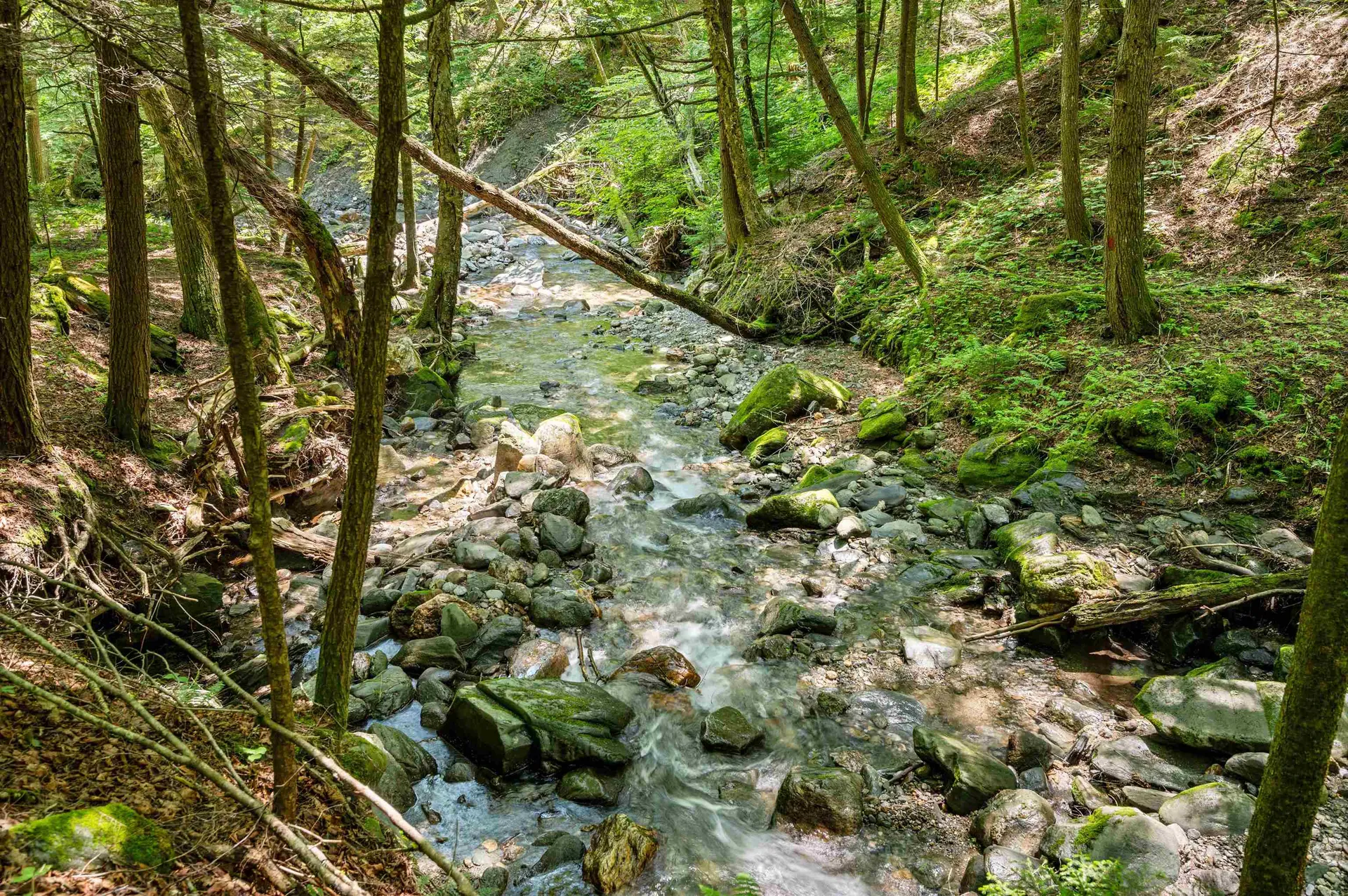 769 West Hill Road Warren VT 05674