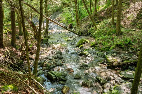 769 West Hill Road Warren VT 05674