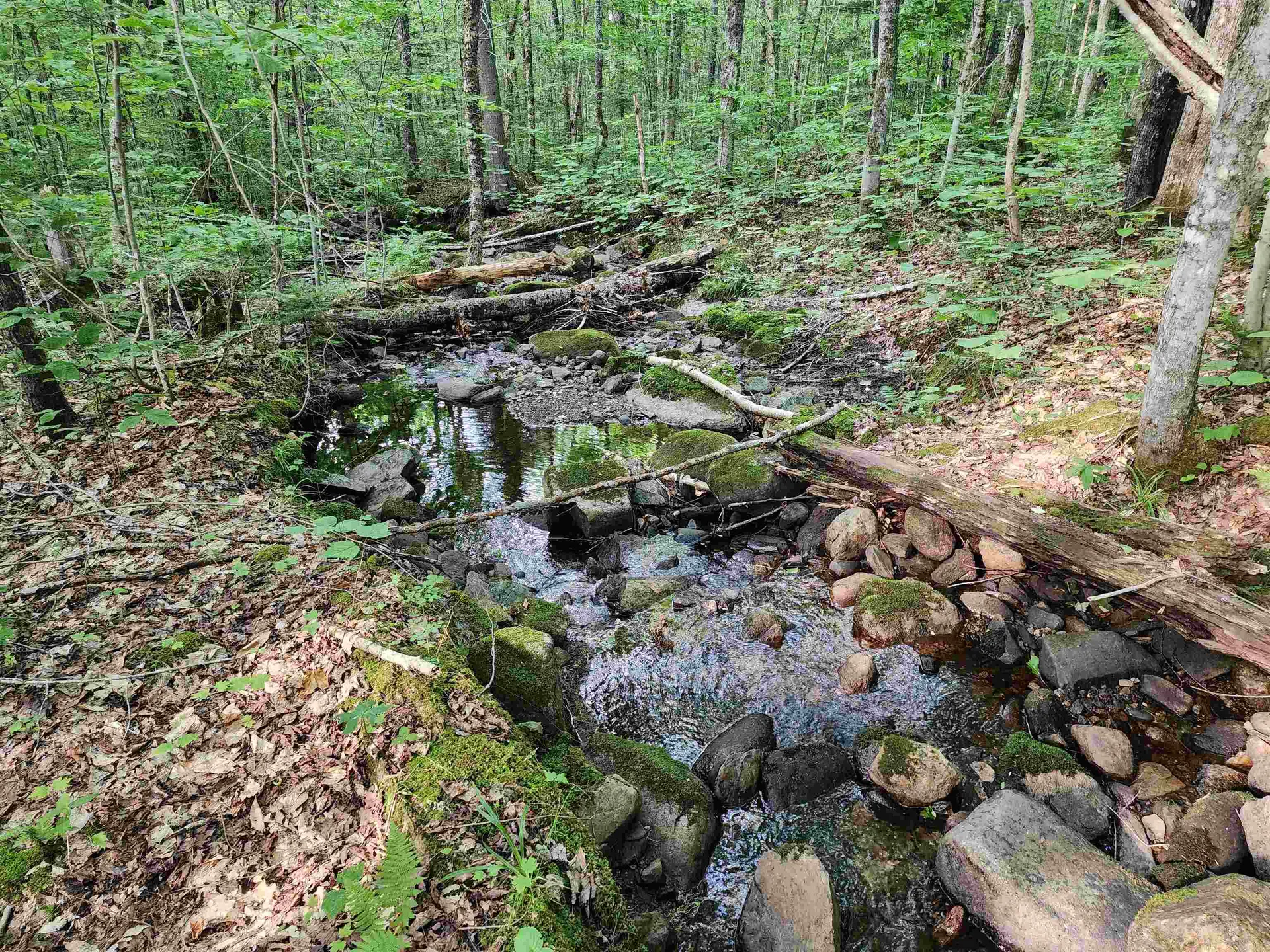 000 Hampshire Woods Loop Errol NH 03579