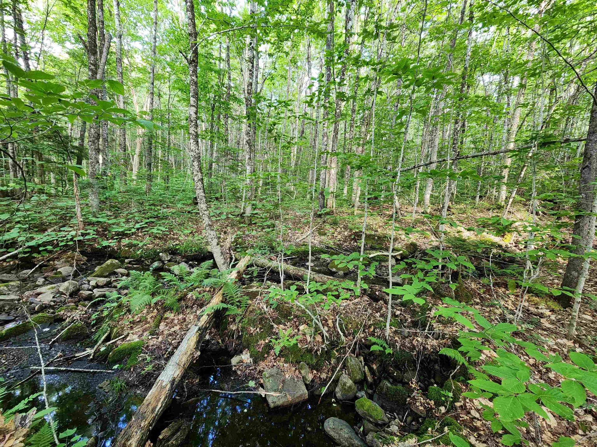 000 Hampshire Woods Loop Errol NH 03579