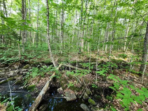 000 Hampshire Woods Loop Errol NH 03579