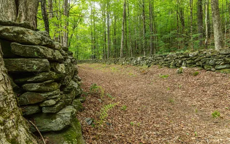 372 Hill Road Alstead NH 03602
