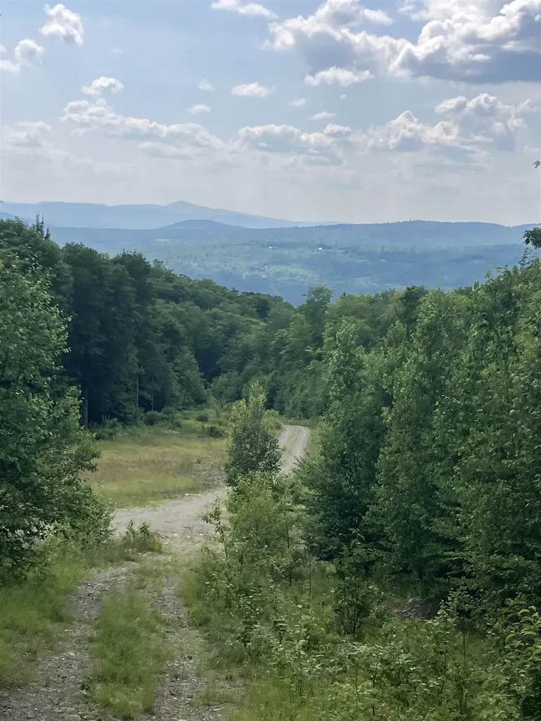 Lot 2&3 Washburn/meridan Hill Road Columbia NH 03576