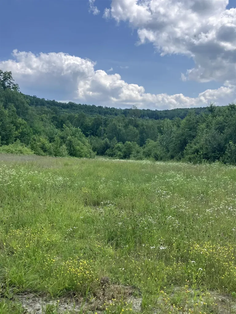 Lot 2&3 Washburn/meridan Hill Road Columbia NH 03576