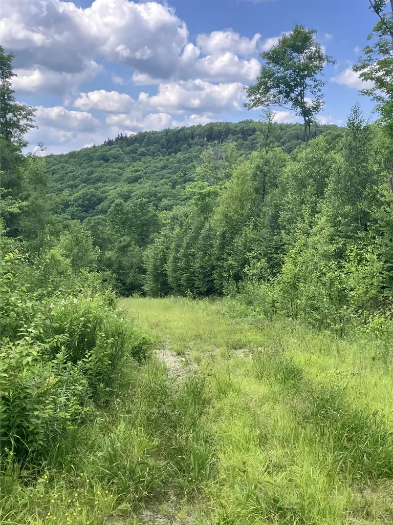 Lot 2&3 Washburn/meridan Hill Road Columbia NH 03576