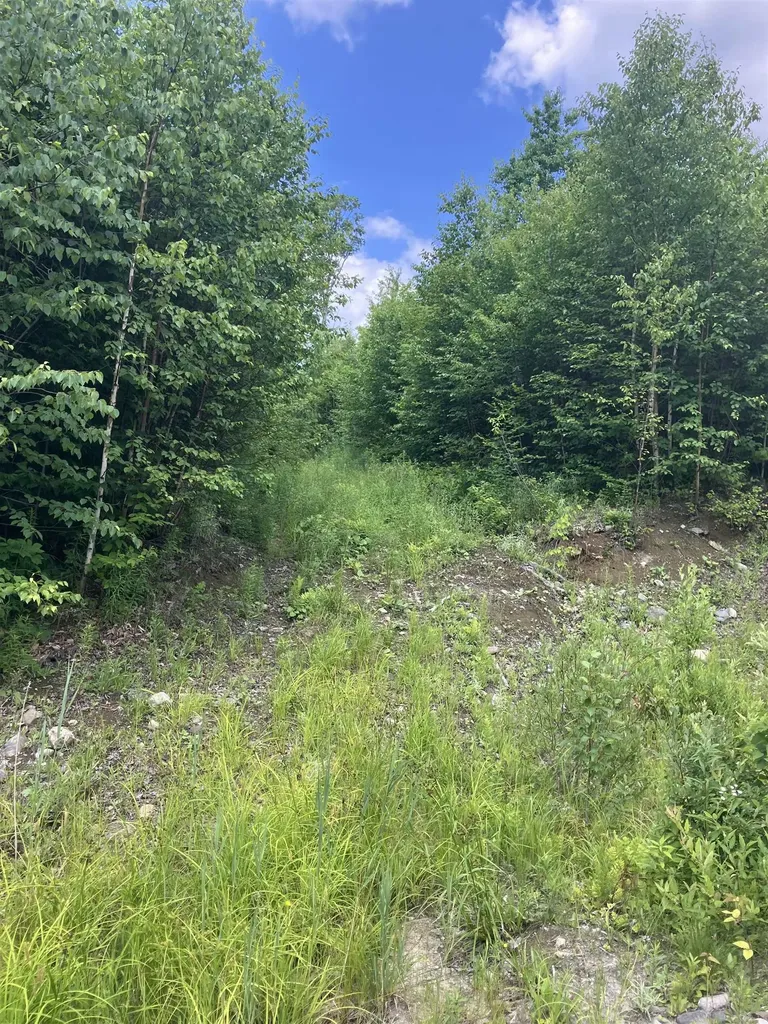 Lot 2&3 Washburn/meridan Hill Road Columbia NH 03576