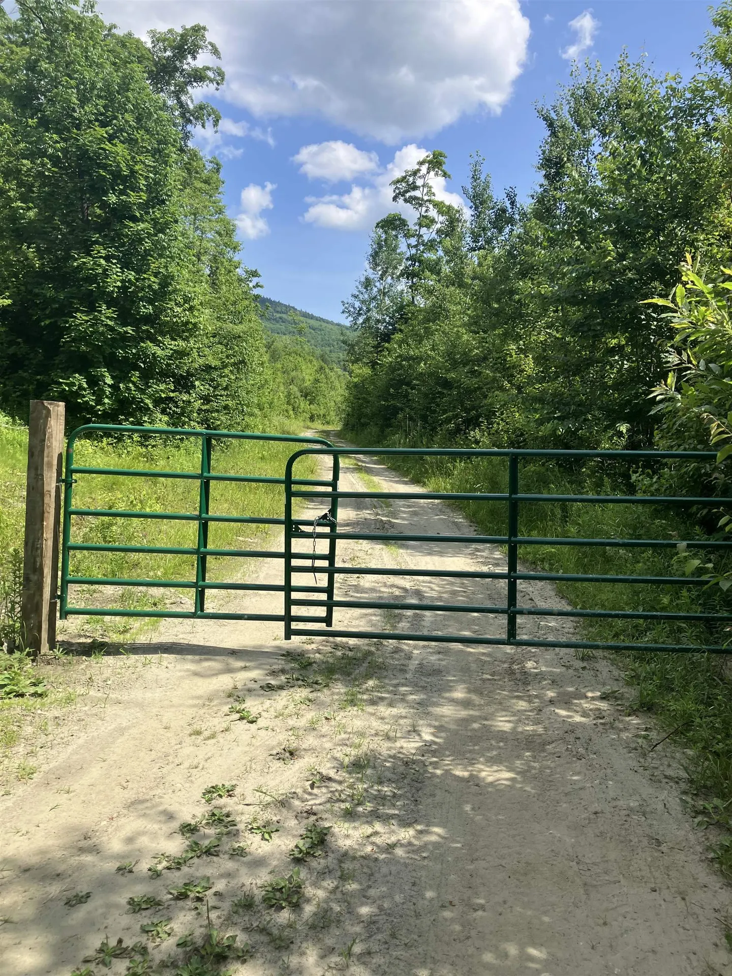 Lot 2&3 Washburn/meridan Hill Road Columbia NH 03576
